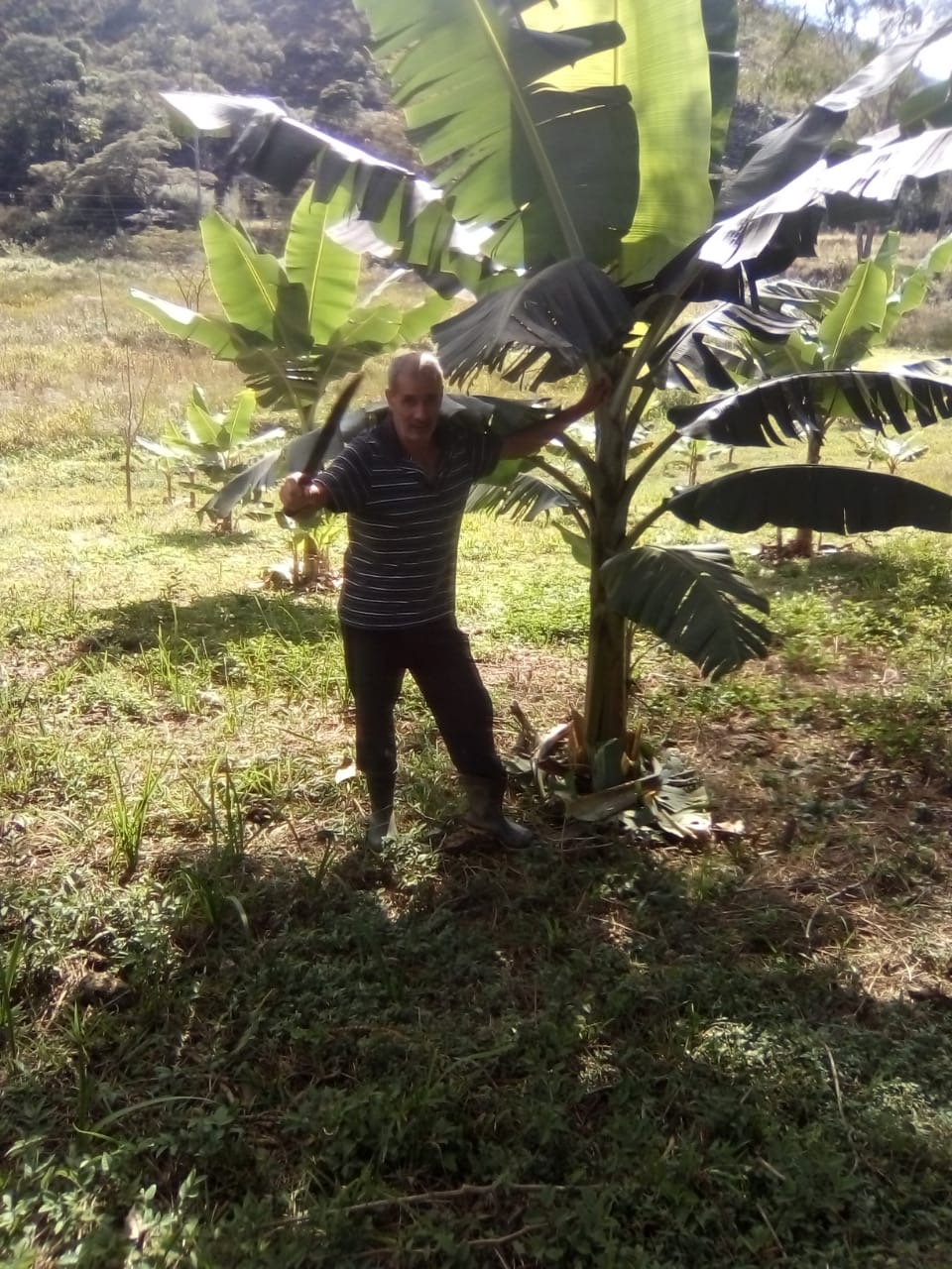 Ephemeral Brazil charity image