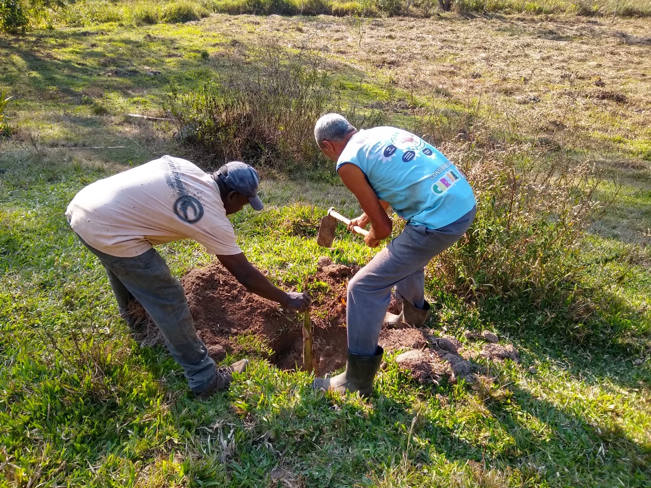 Ephemeral Brazil charity image