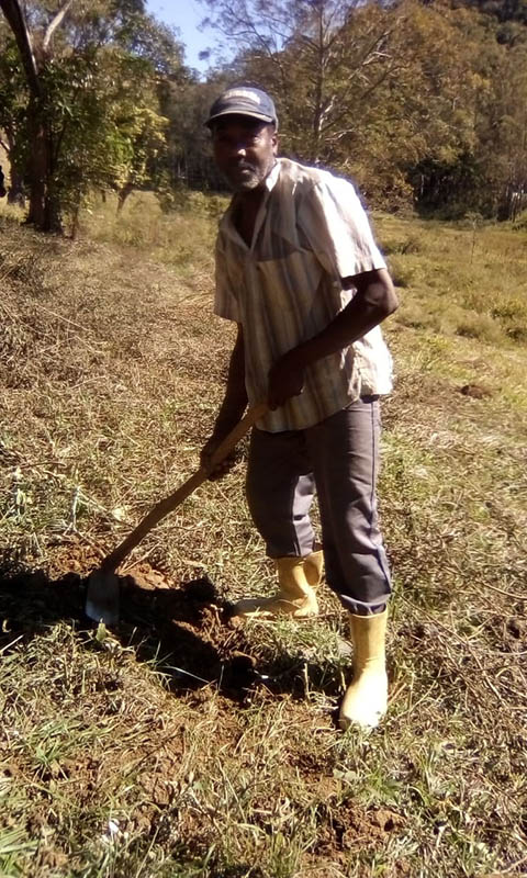 Ephemeral Brazil charity image