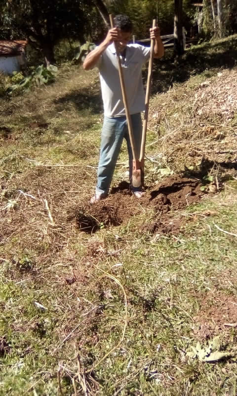 Ephemeral Brazil charity image