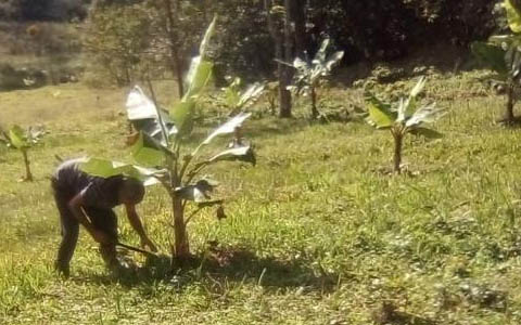 Ephemeral Brazil charity image