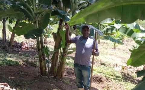 Ephemeral Brazil charity image