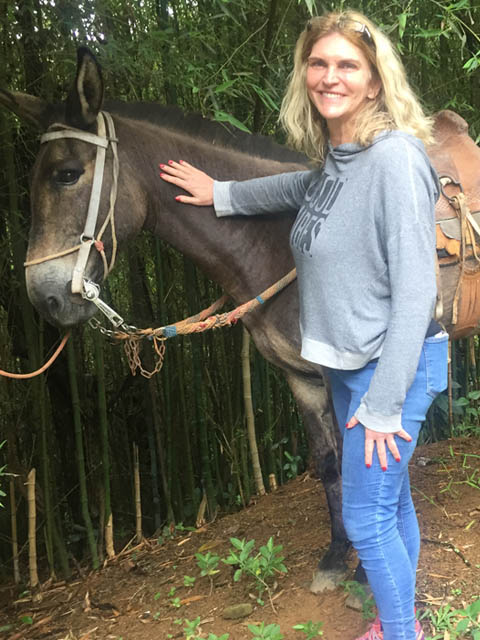 Ephemeral Brazil charity image