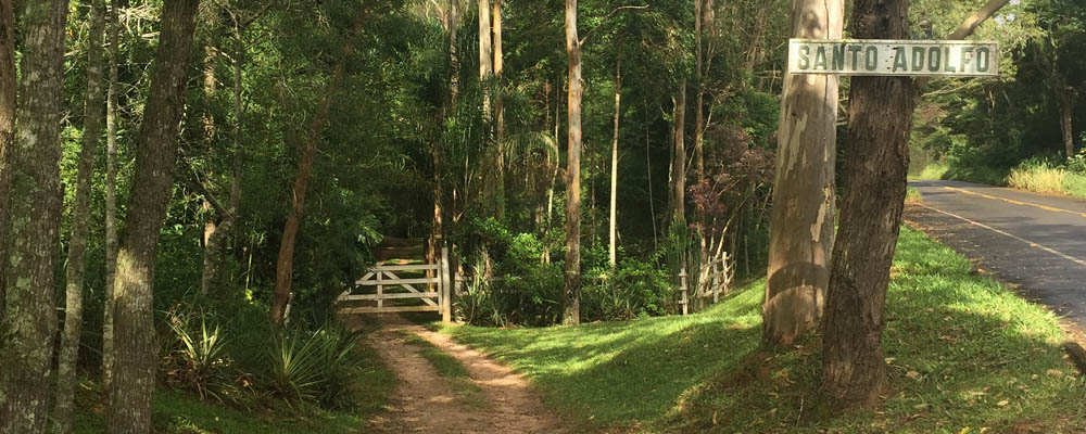 Ephemeral Brazil charity image