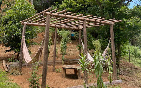 Ephemeral Brazil charity image