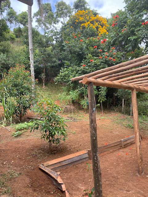 Ephemeral Brazil charity image