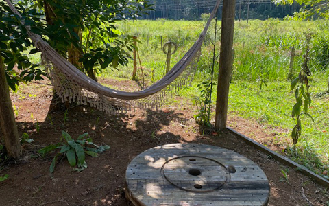 Ephemeral Brazil charity image