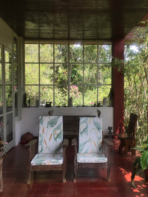 Ephemeral Brazil charity image