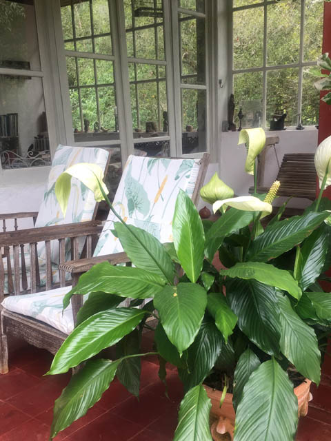 Ephemeral Brazil charity image