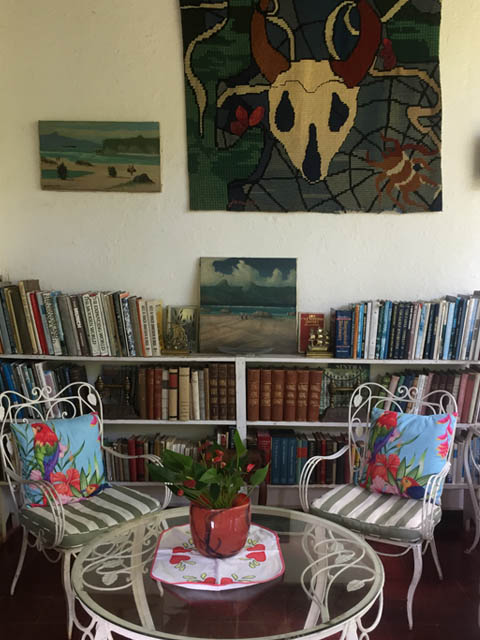 Ephemeral Brazil charity image