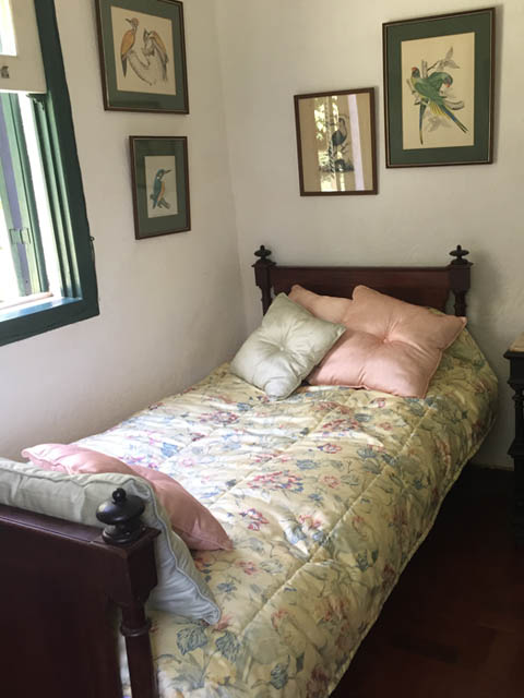 Ephemeral Brazil charity image