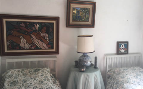 Ephemeral Brazil charity image