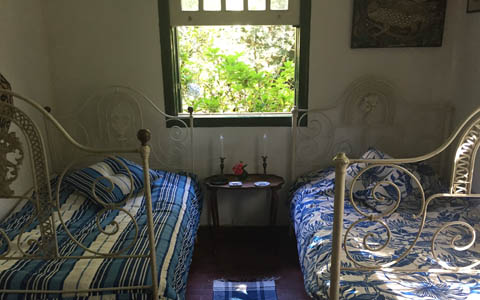 Ephemeral Brazil charity image