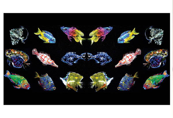 Ephemeral Brazil Womans Day Event