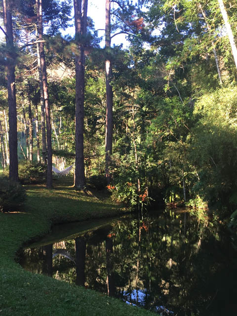 Ephemeral Brazil charity image