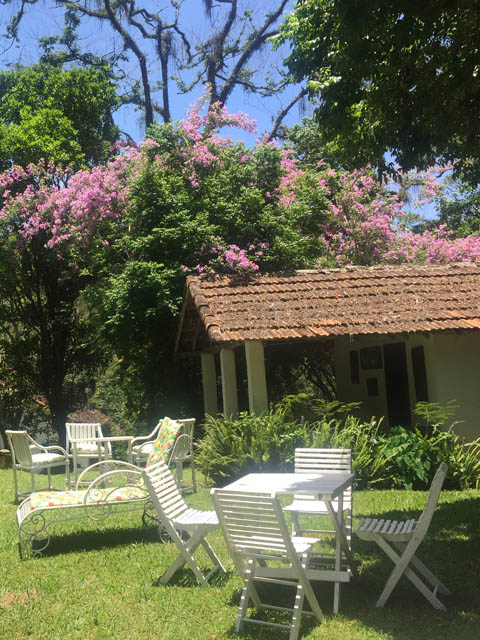 Ephemeral Brazil charity image