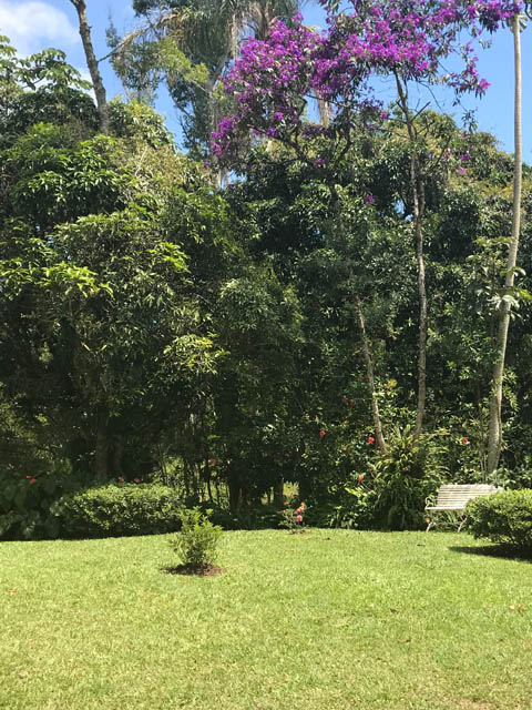 Ephemeral Brazil charity image