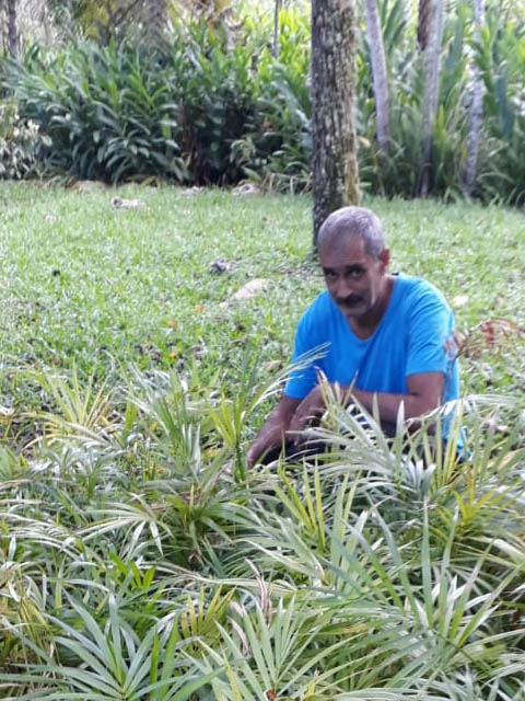 Ephemeral Brazil charity image