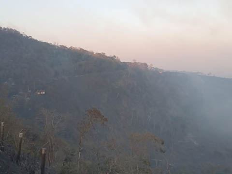 Ephemeral Brazil charity image