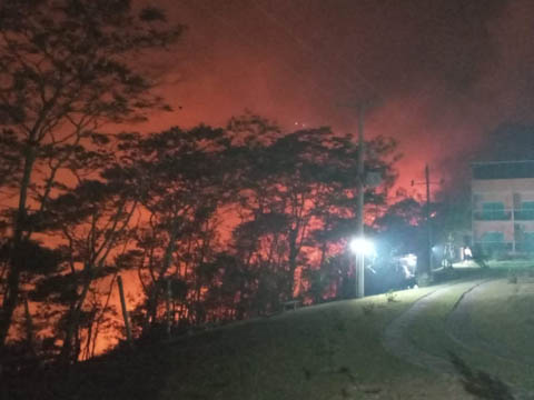 Ephemeral Brazil charity image