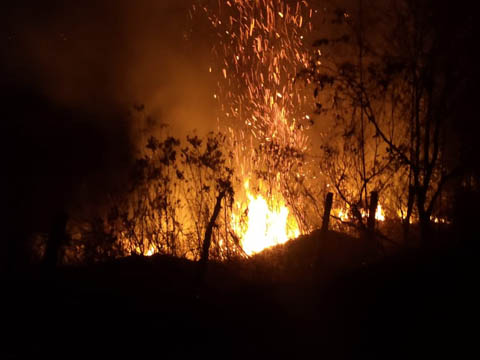 Ephemeral Brazil charity image