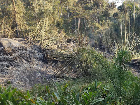 Ephemeral Brazil charity image