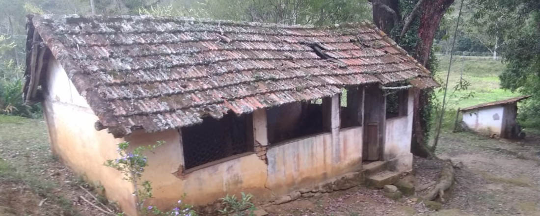 Ephemeral Brazil charity image