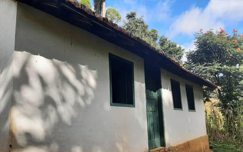 Ephemeral Brazil charity image