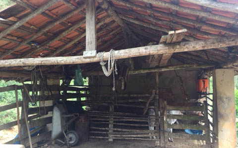 Ephemeral Brazil charity image