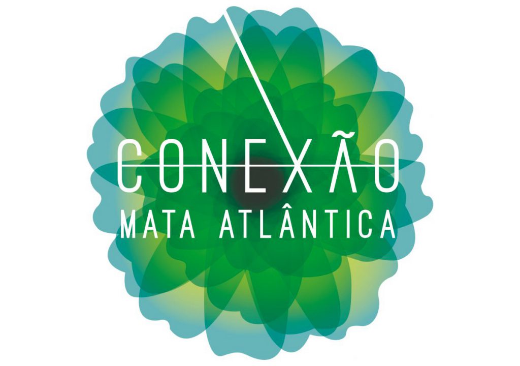 Ephemeral Brazil charity image