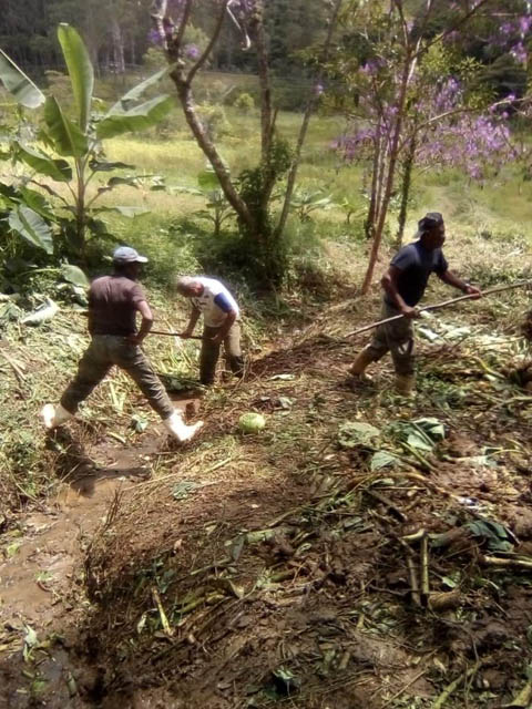 Ephemeral Brazil charity image