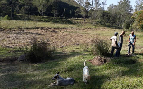 Ephemeral Brazil charity image