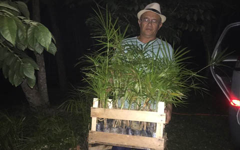 Ephemeral Brazil charity image