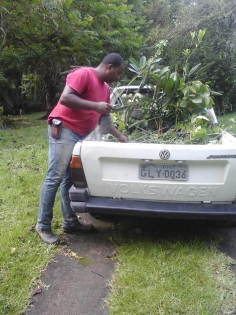 Ephemeral Brazil charity image