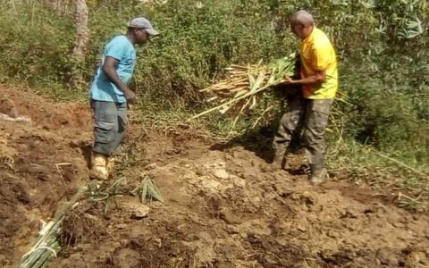 Ephemeral Brazil charity image