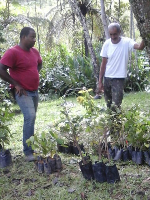 Ephemeral Brazil charity image