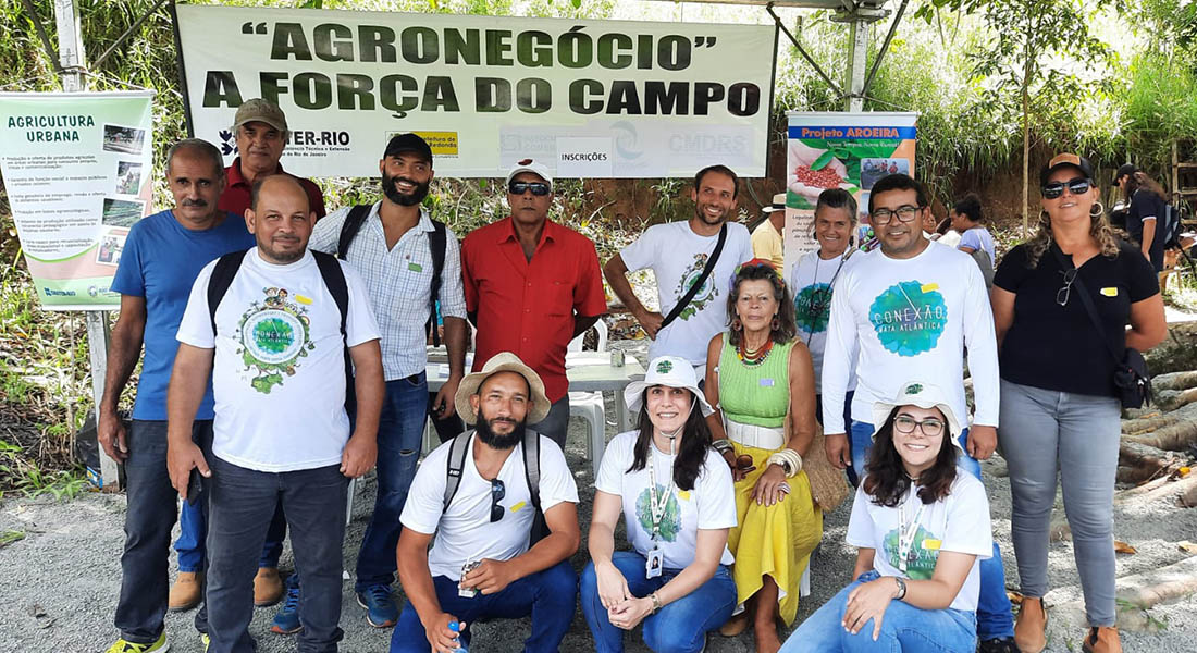 Ephemeral Brazil charity image