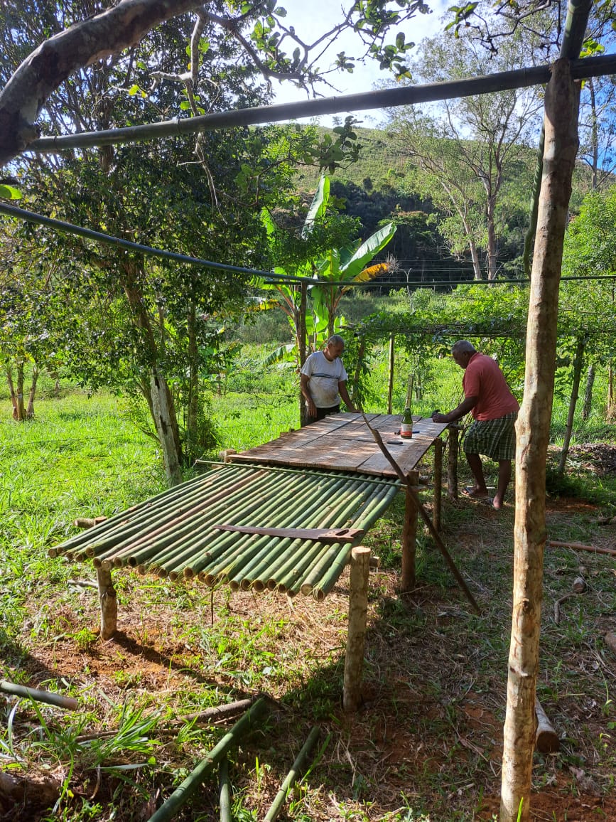 Ephemeral Brazil charity image