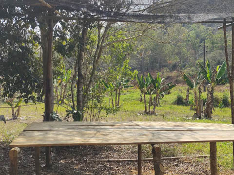 Ephemeral Brazil charity image