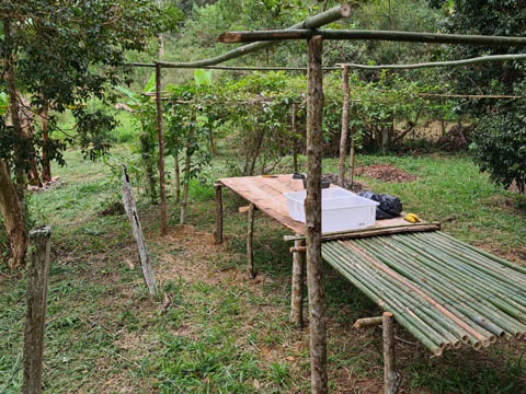 Ephemeral Brazil charity image